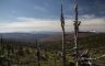 21/10/2020. Hachimantai Plateau(Akita Pref./Japan)